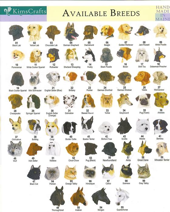 Dog Breed Chart With Names